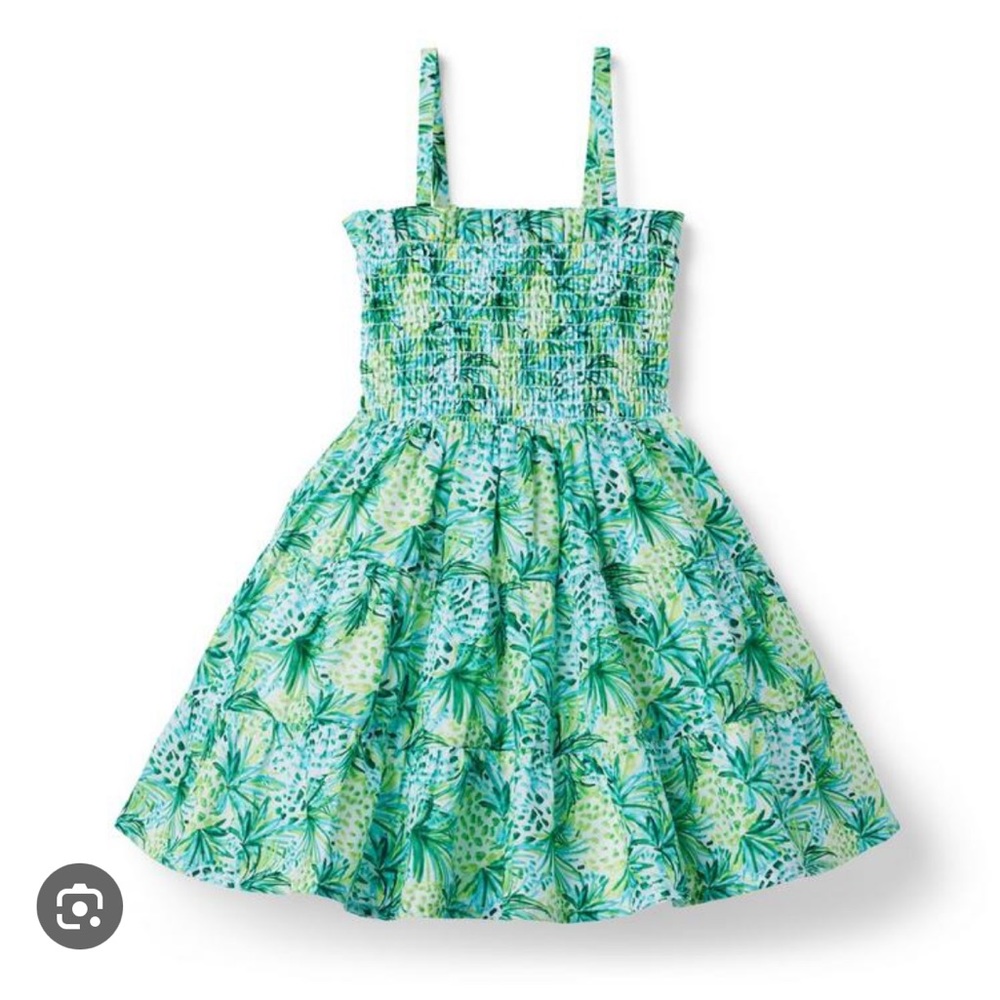 Adorable Smocked dress Janie and Jack